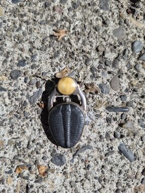 Zealandia Vintage Trilobite/Amber Pendant